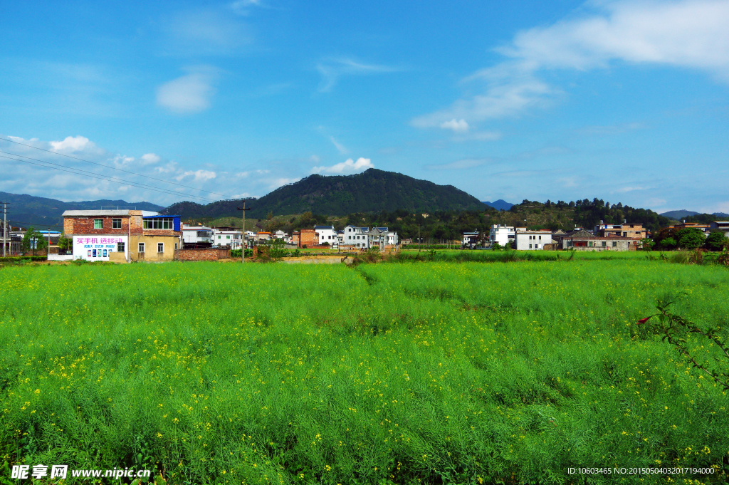 田园风光美丽百候