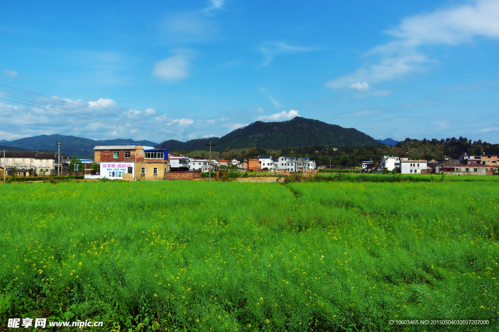 田园风光美丽百候