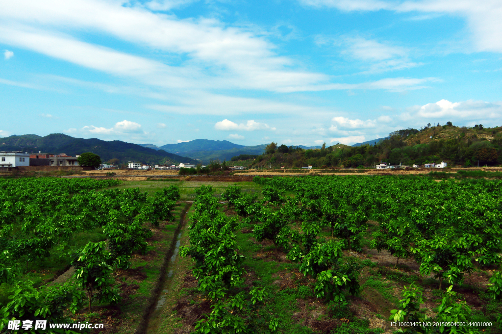 田园风光