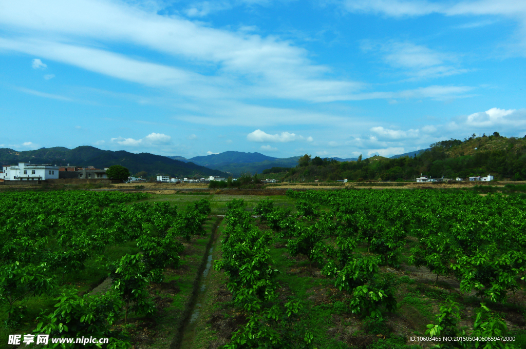 田园风光