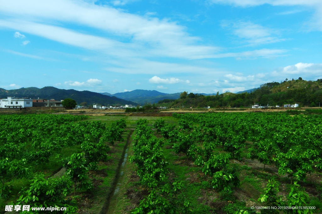 田园风光