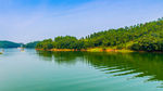 龙泉湖