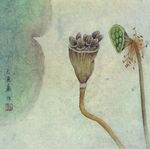 现代工笔 花鸟 花鸟画 工笔