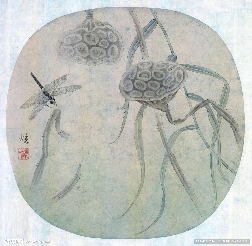 现代工笔 花鸟 蜻蜓