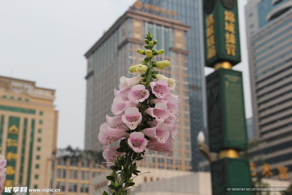 花