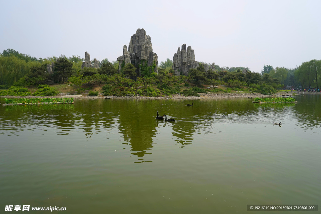 天鹅湖