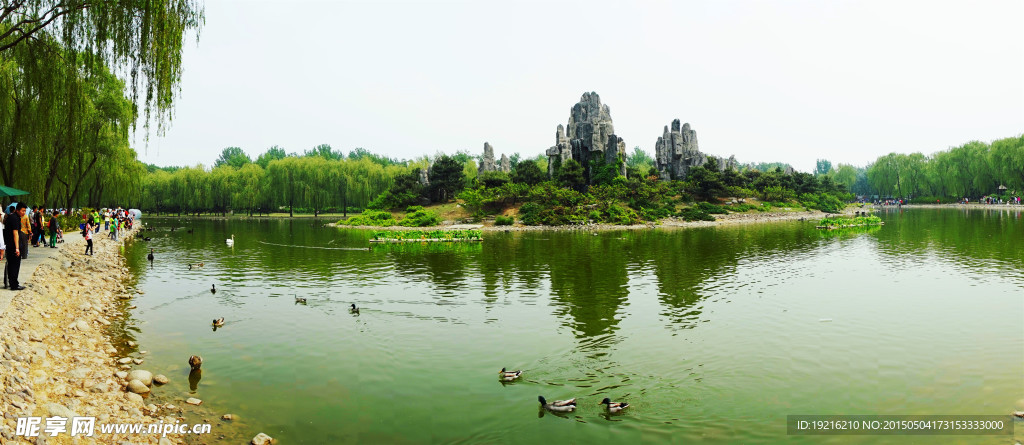 天鹅湖