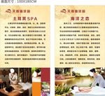 土耳其SPA  海洋之恋