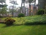 小区景观