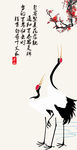泊清情