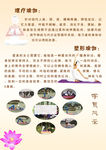 瑜伽海报