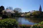 日本花园风景