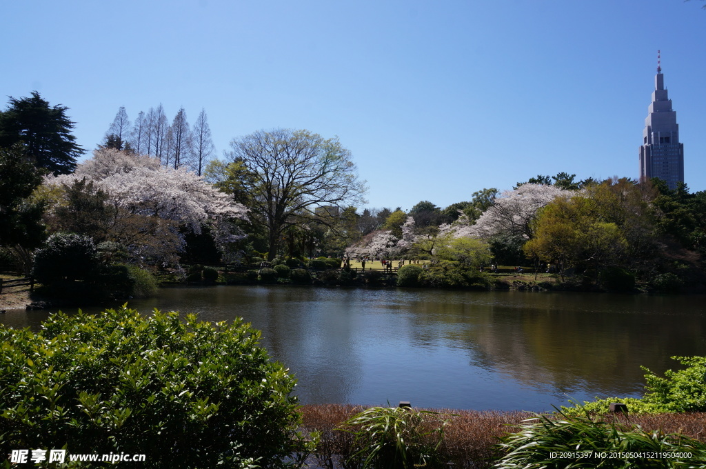 日本花园风景