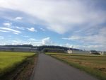 日本麦田