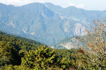 山林