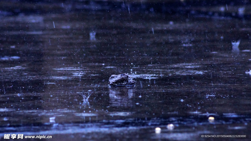 顽石傲雨