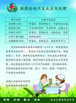 服药后的不良反应及处理