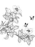 工笔画线描花卉画