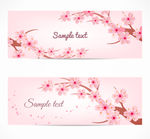 粉色樱花banner