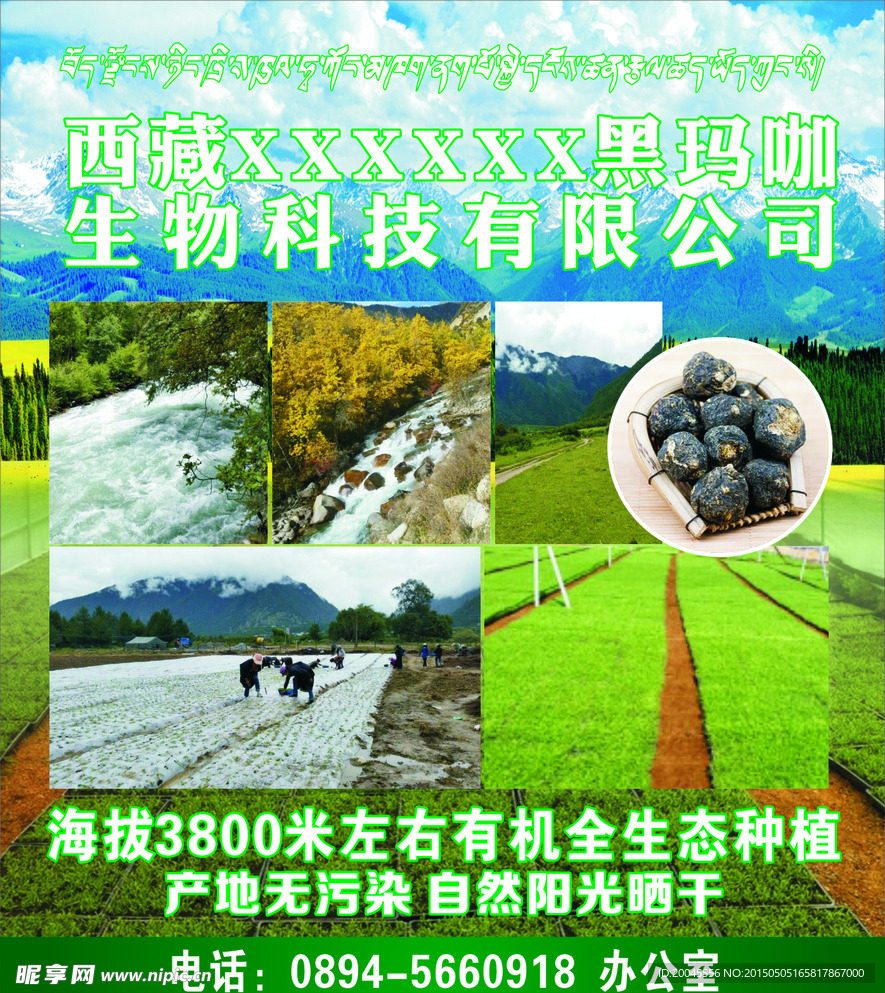 玛咖海报