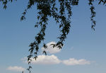 天空