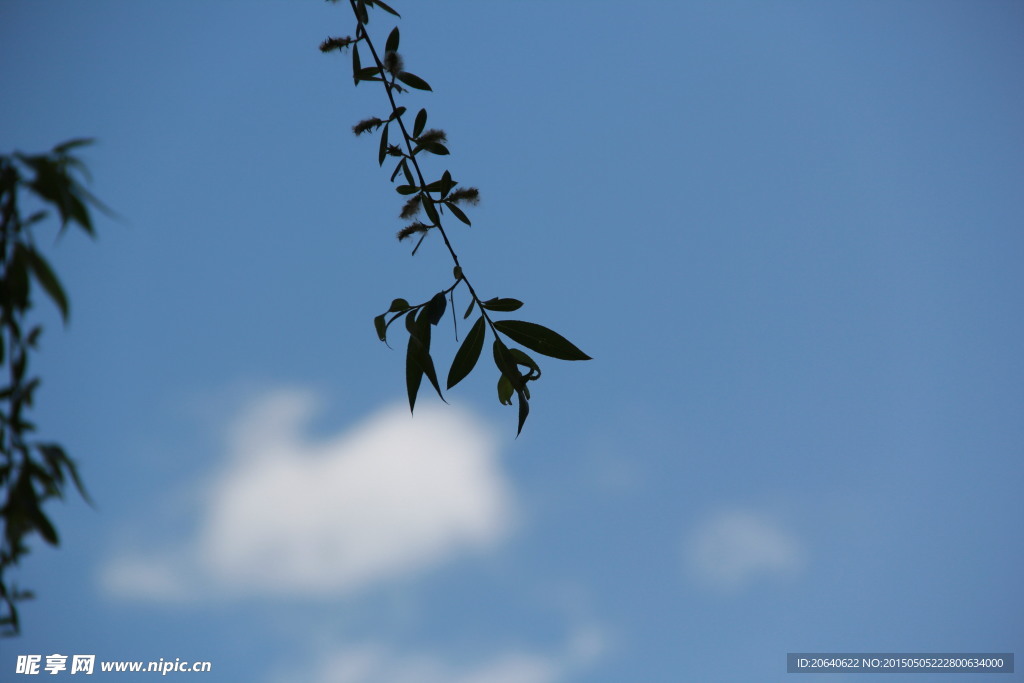 天空