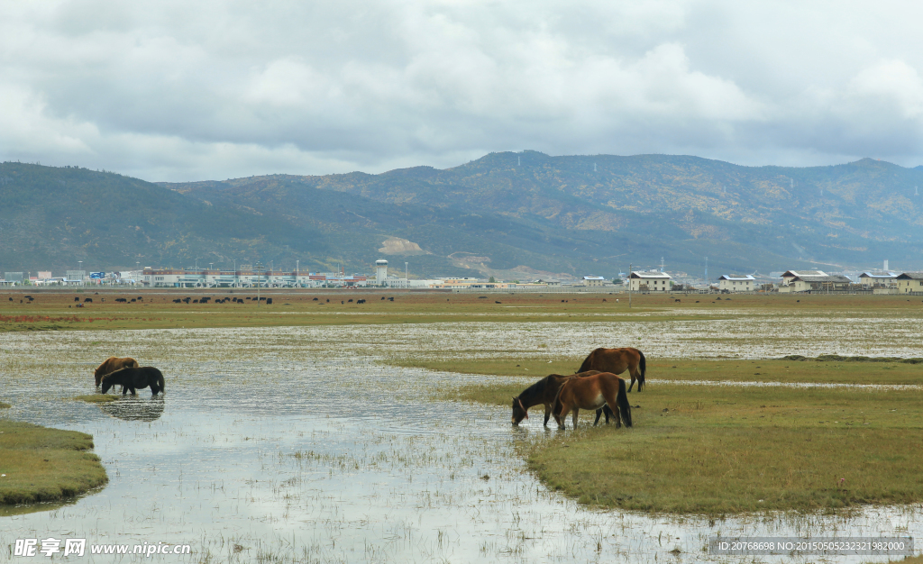 香格里拉风景