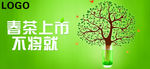 春茶上市