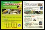野生蜂蜜宣传单