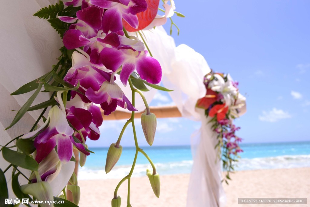 海边花