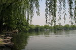 醉西湖
