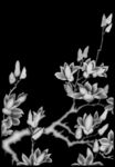 茶花