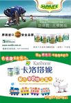 生命阳光 牛初乳 卡洛塔里