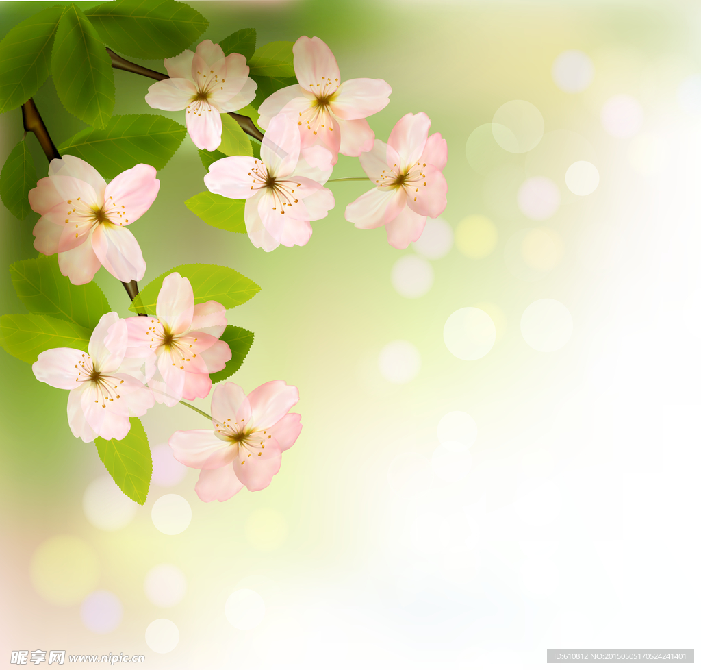 鲜花背景