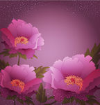鲜花