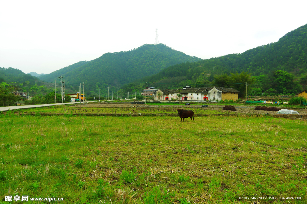 乡村山水