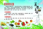 夏季养生