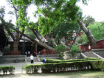 晋祠