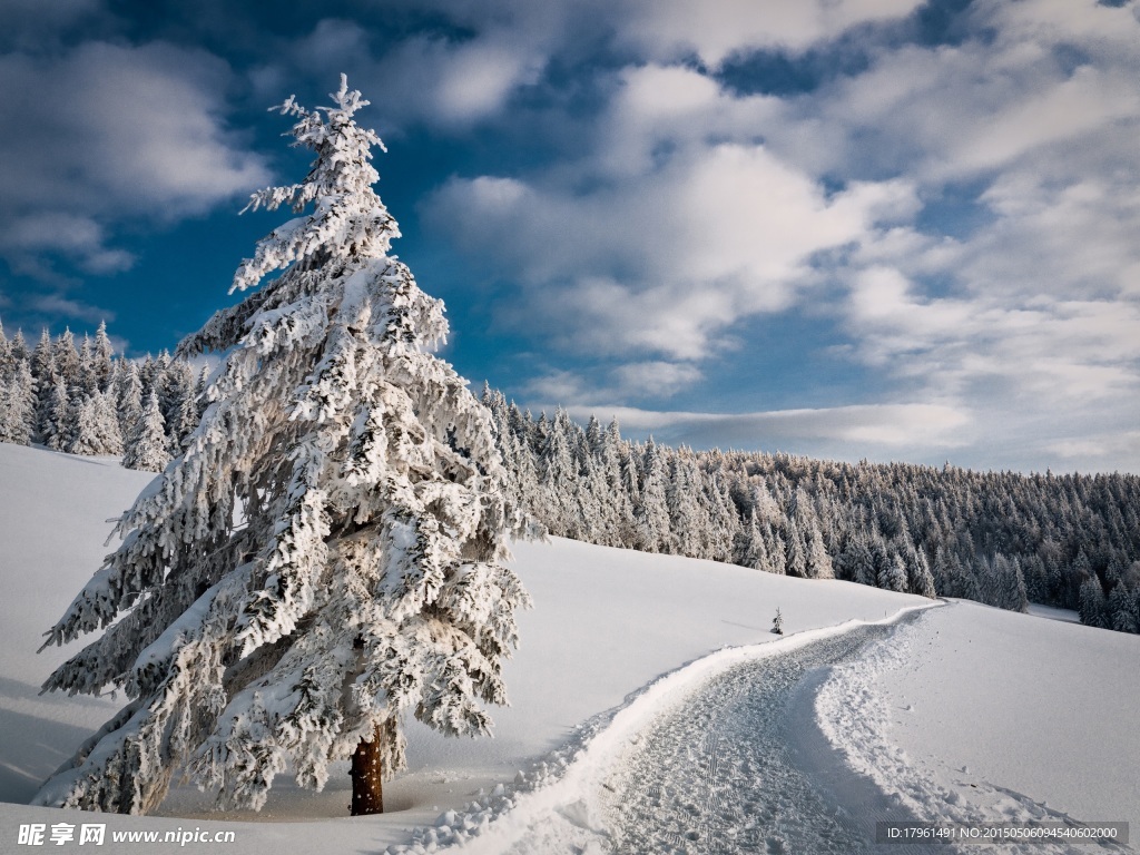 秦皇岛祖山雪景