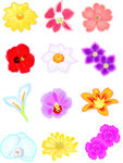 花