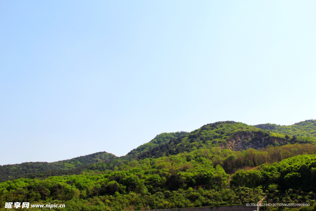 青山