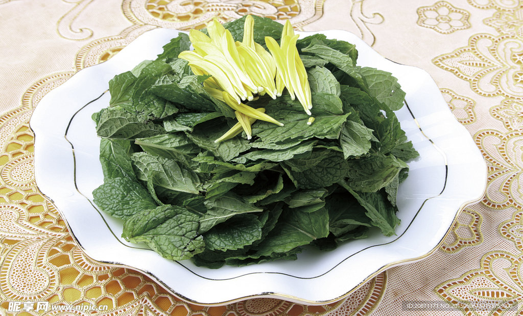 金菊食香菜