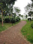 公园小路