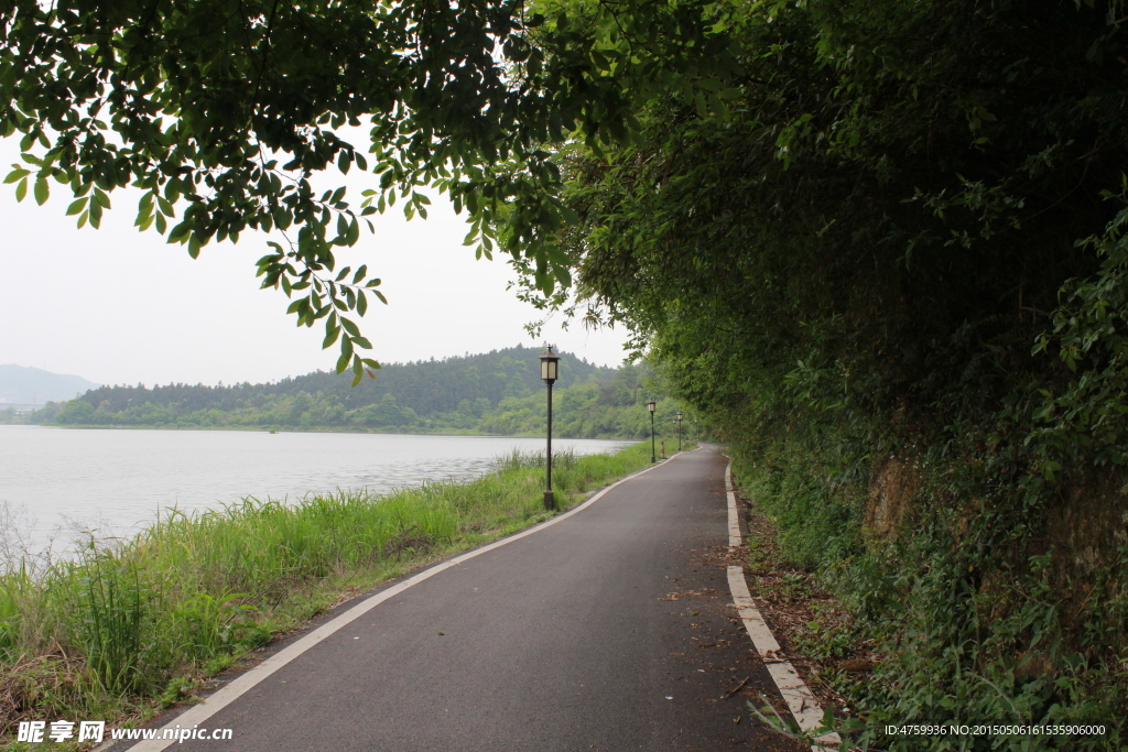 路