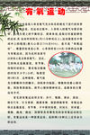 有氧运动
