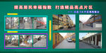 绿色版面背景图片排版