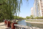 城市景观