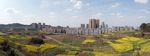 四川乐至县全景