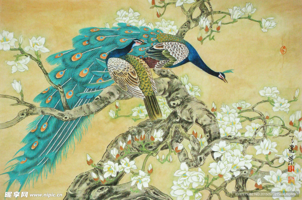 孔雀明春（未分层）
