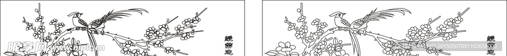 绶带迎春